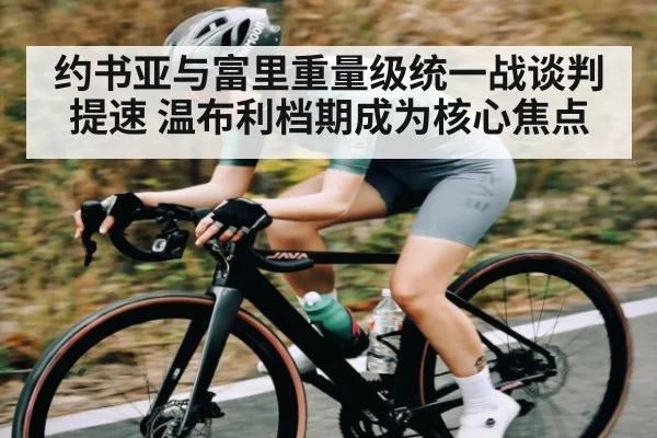 约书亚与富里重量级统一战谈判提速 温布利档期成为核心焦点